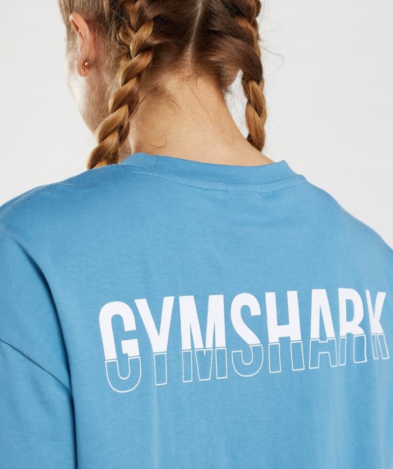 Women's Gymshark Fraction Oversized T-Shirts Blue | NZ 6OJTSQ